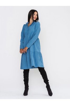 Сукня з мікровельвету на ґудзиках, розкльошена спідниця по низу з воланом, комір-стійка, довгий рукав, блакитний, 42/44 LMC_68961 фото